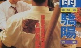 暴雨骄阳在线观看,激情燃烧的夏日风暴